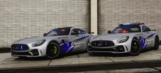 Vista previa del recurso 2021 High Speed Law Enforcement Units FiveM 4