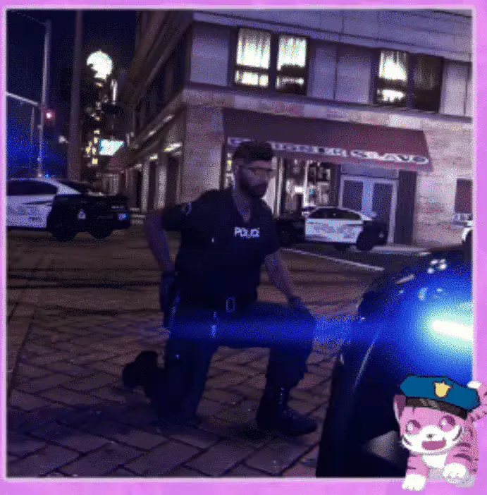 FiveM PD Animations preview