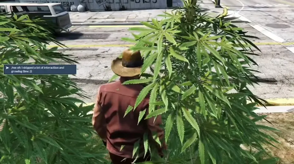 FiveM Weed System (V4) preview