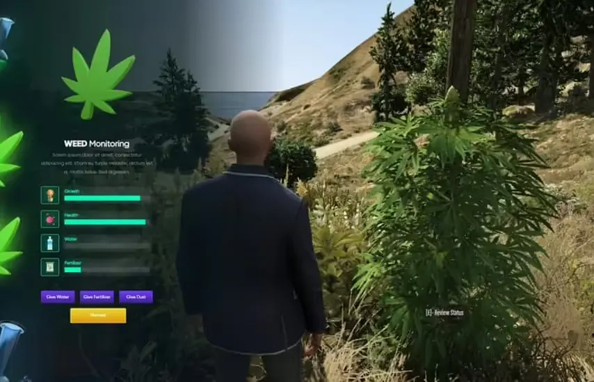 Weed Grow Script FiveM resource preview