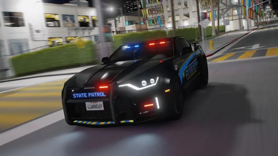Vigero ZX State Patrol – Package Status and Setup