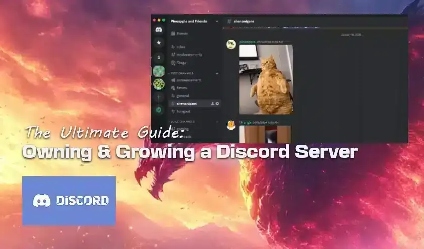 Criar uma comunidade Discord para seu servidor FiveM