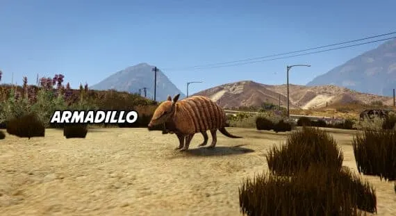 Armadillo Addon Animal Ped for FiveM