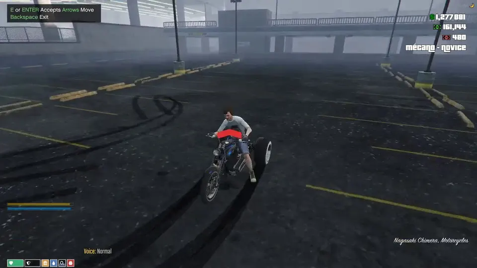NoPixel Aperçu du gameplay du garage dans un parking souterrain
